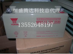 YUASA NPL12V-100AH/ǳر