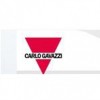 CARLO GAVAZZIֱ_CARLO GAVAZZIֽӽ̼